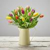 Tulip Medley Jug