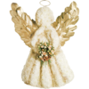 Angel - Gold wings in White